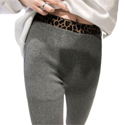 China Korean elastic snagging resistance gaiters for women to wear spring and autumn elastic slim fit thin fit for sale