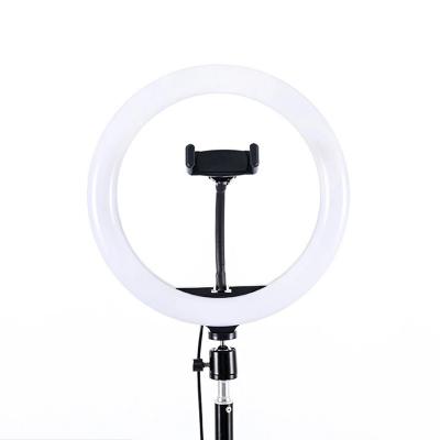 China ring light live broadcast casting beauty photography makeup led 21 inch ring light 1101 for sale