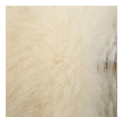 China Long Pile Smooth White Trim Faux Fox Fur Tip-Dye Fabric for sale