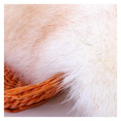 China Fashionable Wholesale Acrylic Long Fake Hair Polyester Animal Fur Fabric for sale