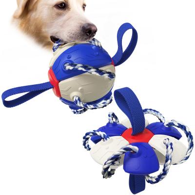 China Sustainable OUTDOOR INTERACTION PET TRAINING SUCTION CUP INDESTRUCTIBLE DOG CHEW TOY for sale