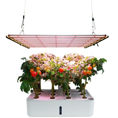 China 640W Samsung LM301H with 640 Grow Led Grow Light Pre Assembled Light With Meanwell Driver For Indoor Plants for sale