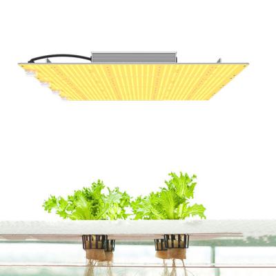 China grow lights hydroponic vertical farming lm301h indoor plants lamp for plants Medical for sale