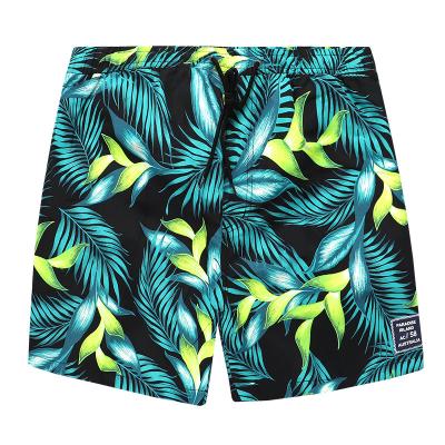 China Breathable Customize Hot Sale Mens Printed Swim Trunks Designs For Mens Board Shorts Clothing Summer Shorts Caribbean Hawaii Bermuda Shorts for sale