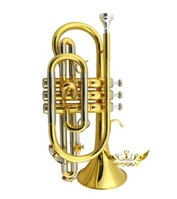 China Gold Lacquer Roffee Gold Lacquer Bb Key Brass Cornet for sale