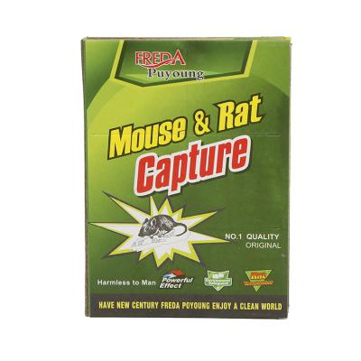 China China Supplier Rat Mouse Glue Trap Board Disposable Mice Stick Trap Stick For Mouse for sale