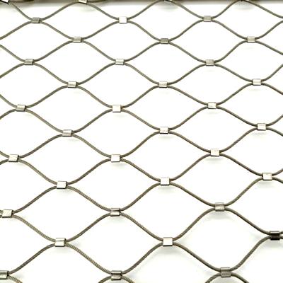 China Inox Wired Mesh For Green Wall And High Viable Application Durable Environment Gradens Fence Trellis For Green Plants for sale