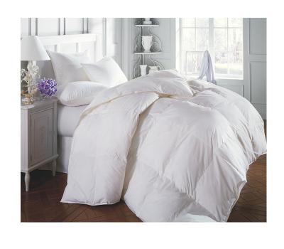 China Home Comforter Set Luxury Bedding Kids Bedroom Comforter For Winter for sale