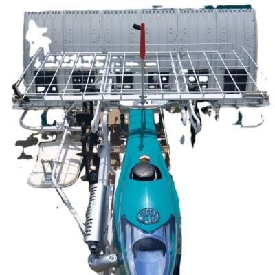 China Seed Planting Machine China Factory Supply Walk Behind Rice Paddy Transplanter for sale