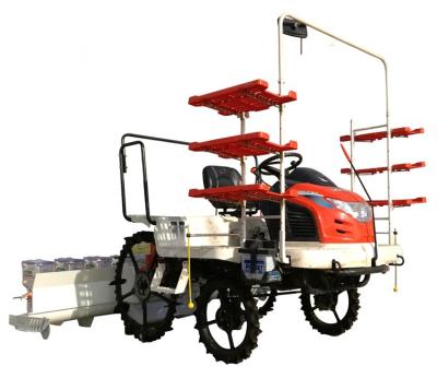 China Direct Riding Type Rice Seedling Agricultural Machinery Machine for sale