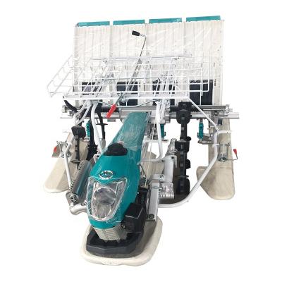 China TRANSPLANT seed planting machine FOUR ROWS for sale