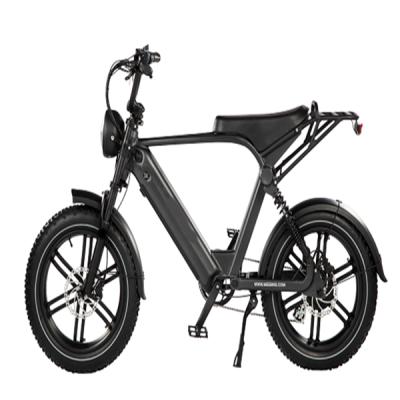 China Mountainbike 2022 aluminum alloy fat tire 750w 20 times 20 inch ebike 48v mid motor fat tire motor controller fast ebike for sale