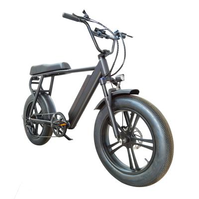 China Free Shipping Fat Tire 48v Aluminum Alloy Motor 750w Chinese Electric Bicycle High Speed ​​Electric Bicycle for sale