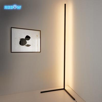 China Modern Decorative Living Room RGB Modern Corner Hotel Designer Led Floor Lamp for sale