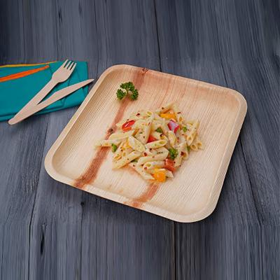 China Biodegradable Eco-Friendly Cutlery Stocked Eco Friendly Disposable. Square. Once for all. Camping holidays. Part. Biodegradable. Palm leaf dinner dish for sale