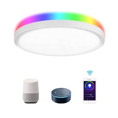 China Morden Dimmable CCT Modern Indoor Led Ceiling RF Panel Light Wifi Remote Control Adjustable Led Lamp for sale