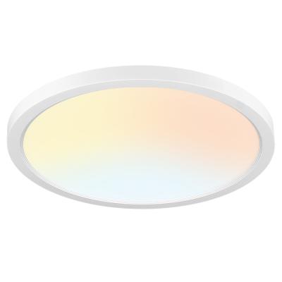 China Size Only 24mm (0.94inch) 11.8Inch 300x300 Round Light Round Balcony Porch Foyer Flush Mount LED Outdoor Ceiling Panel Light for sale