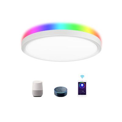 China Modern Party CCT RGB Home Selectable Noise 300mm 400mm WIFI Smart Night LED Panel Ceiling Light for sale