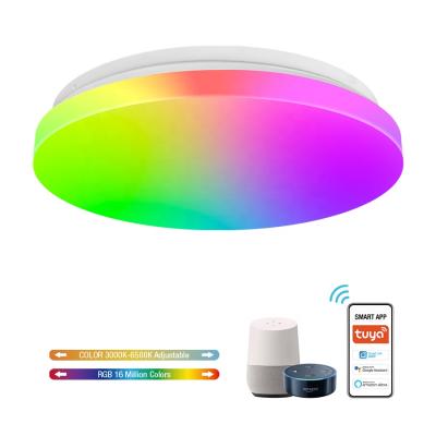 China Modern 24W WIFI LED CCT RGB Smart Variable Ceiling Light Work With Alexa LED Flush Mount Ceiling Lamps for sale