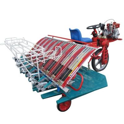 China Rice Planting High Efficiency Farm Style Manual Walking Rice Sowing Machine Paddy Wheel 8 Rows Rice Transplanter With Factory Wholesale Price for sale