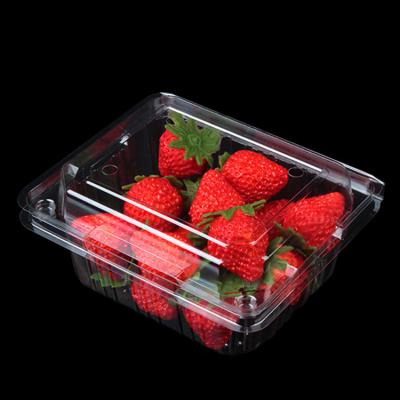 China Sales New Hot Recyclable Clear Blister Label PET Clear Plastic Box Customized Blister Packaging With Lid for sale