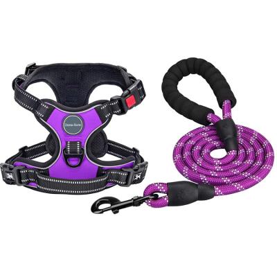 China Comfortable Adjustable Reflective Nylon Leash Pet Puppy Harness With Leash for sale