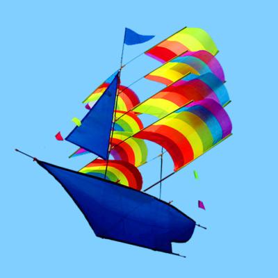 China 3D Kite Sailing Kite Toy Fun Outdoor Flight Activity Play Kids Outdoor Toys Beach Sports for sale