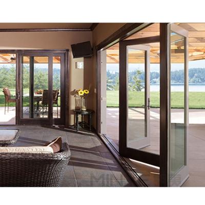 China Germany Roto Hardware Modern Iron Doors for Traditional Style French Style Folding Doors for sale