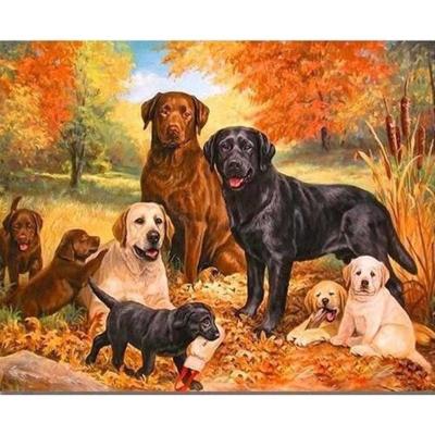 China High Quality Eco-friendly Diy Dog Picture Digital Oil Painting Home Improvement Wall Art Background Painting Factory Direct Sales for sale