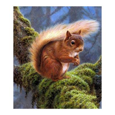 China Full Drill 5D DIY Diamond Painting Forest Squirrel 3D Cross Stitch Eco-friendly Mosaic Embroidery Home Decor for sale