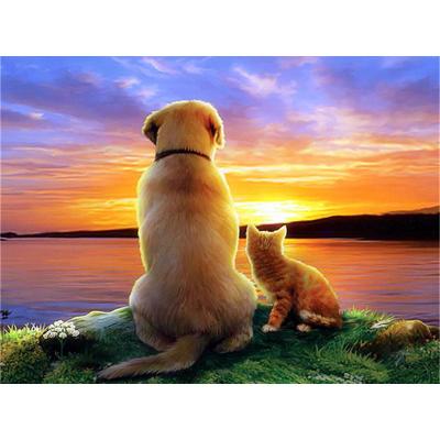 China Animal Dog Cat Sunset Crafts Home Decoration 5D Diamond Painting Door Full Square Eco-friendly Cross Stitch Embroidery for sale