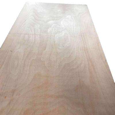 China Best Grade B Price Good Quality Modern Fireproof Plywood for sale