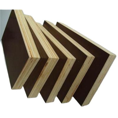 China Top quality hot sale modern marine grade film faced plywood for sale