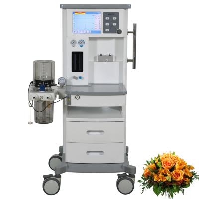 China 10.4TFT Color Screen Veterinary Hospital Anesthesia Machine For Dog Cat Clinic for sale