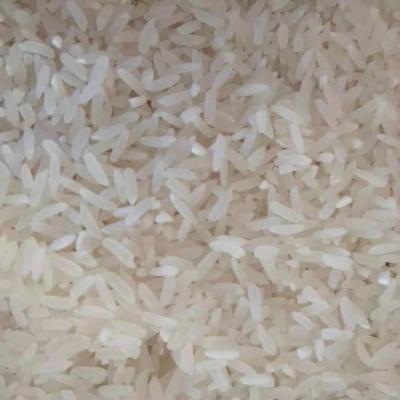 China Bulk Organic Dry Natural Delicious Long Grain Rice White Enriched Packing Rice Mill for sale