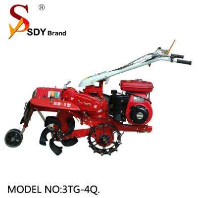 Cina Multi-Functional Farm Management Machine Diesel Engine Power Tiller in vendita