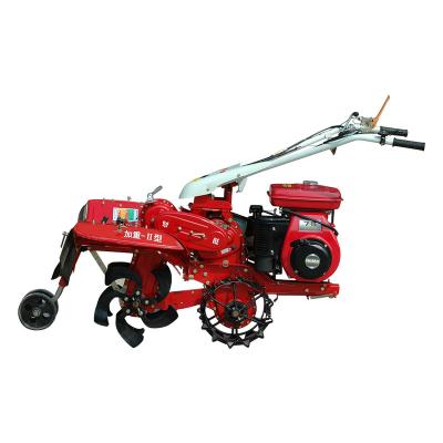 中国 Ditching Machine For Potatoes Mini Power Tiller High Productivity 販売のため