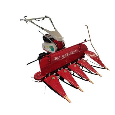 China Mini Harvester Type and Grain Harvester Usage paddy rice cutter en venta