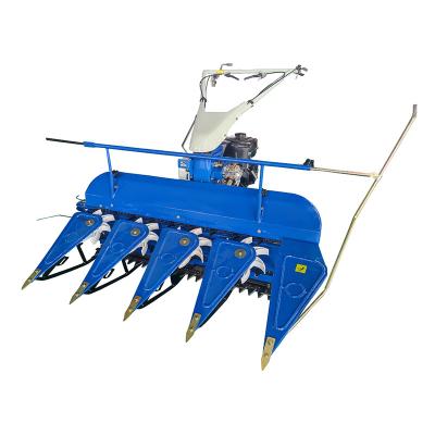 Cina New Product 2020 Walk Behind Small Rice Harvest Machine High Speed Reaper in vendita