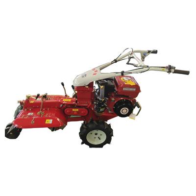 Cina Power Tiller Mini Power Tiller New Product 2020 Farm Land Plow in vendita