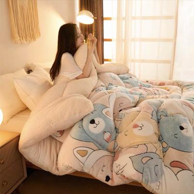 China Home Manufacturers-Suppliers Luxury Beds Quilting Warm Soft Comforters For Home for sale