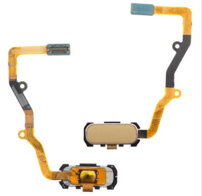 China For Samsung Galaxy S7 edge G935F home button key Flex Cable Assembly Gold G935F for Samsung Galaxy S7 edge G935F home button key for sale