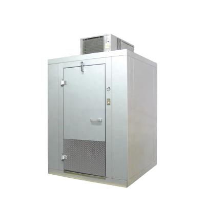 China Hotels Easy-to-install Freezer Room / Cold Storage / Cold Room For Medical for sale