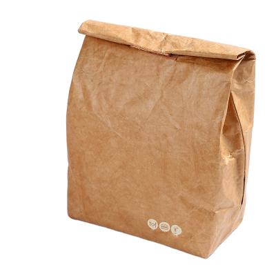 China 2021 Waterproof Hot Fashion Custom Washed Paper Cooler Bags Custom Logo Environmental Portable Cooler Bag for sale