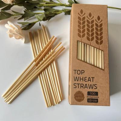 China 100% Biodegradable 100% Natural Biodegradable Straw Drinking Wheat Straws Organic Biodegradable Drinking Paper for sale