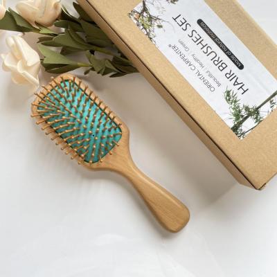 China Large Waterproof Detangling Brush and Hair Growth Brush for Thick or Long Hair for sale