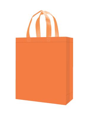 China Matte laminated Bopp Non woven shopping bag with 9 colors /Logo can be customized for sale