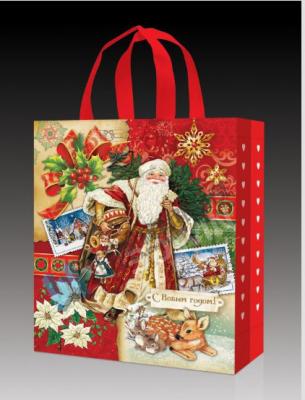 China Promotional Custom Christmas Style Non Woven Bag gift Bag Reusable Custom Printing Company Logo for sale