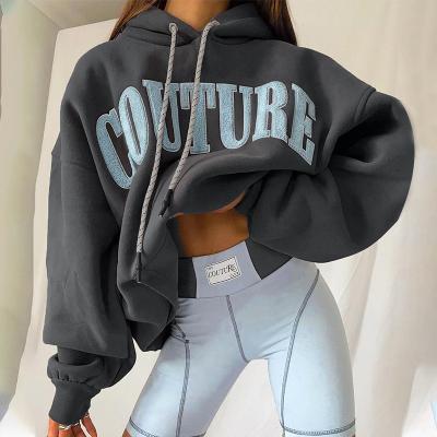 China Anti-wrinkle Chenille Embroidered Women Low MOQ Logo Oversized Custom Hoodie Pullover Over Womens Hoodies Sweatshirt For Women for sale