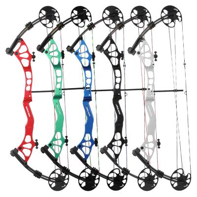 China X8 Hero Target Compound Intermediate Shooting Bow for sale